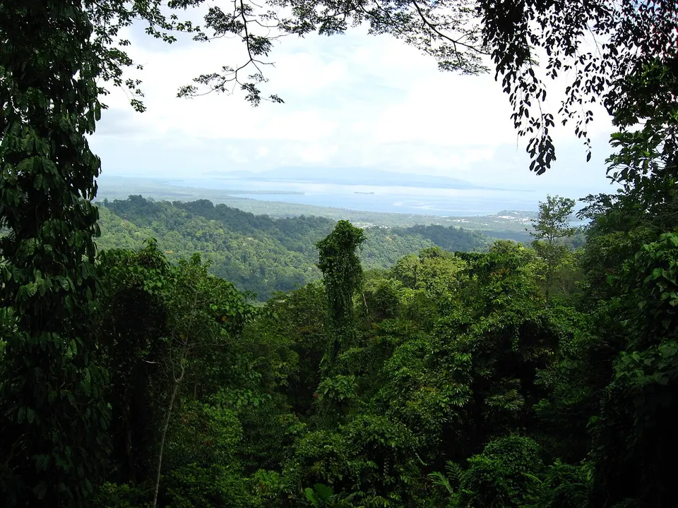Sepik River IMG 2245 — East Sepik Province, Papua New Guinea