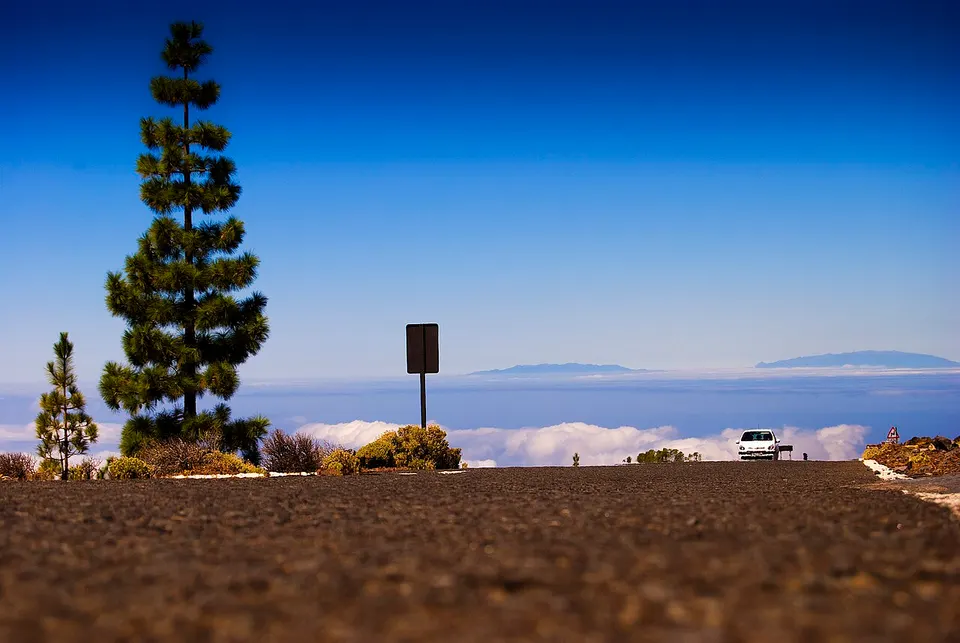 Tenerife (44385988) — Canarias, Spain