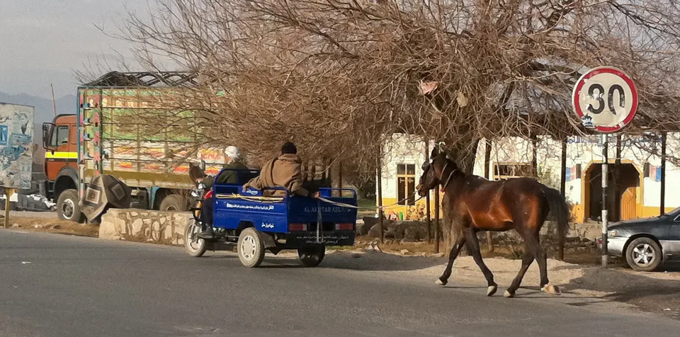 Carriage Drawn Horse (5398619690) — Nangarhar, Afghanistan