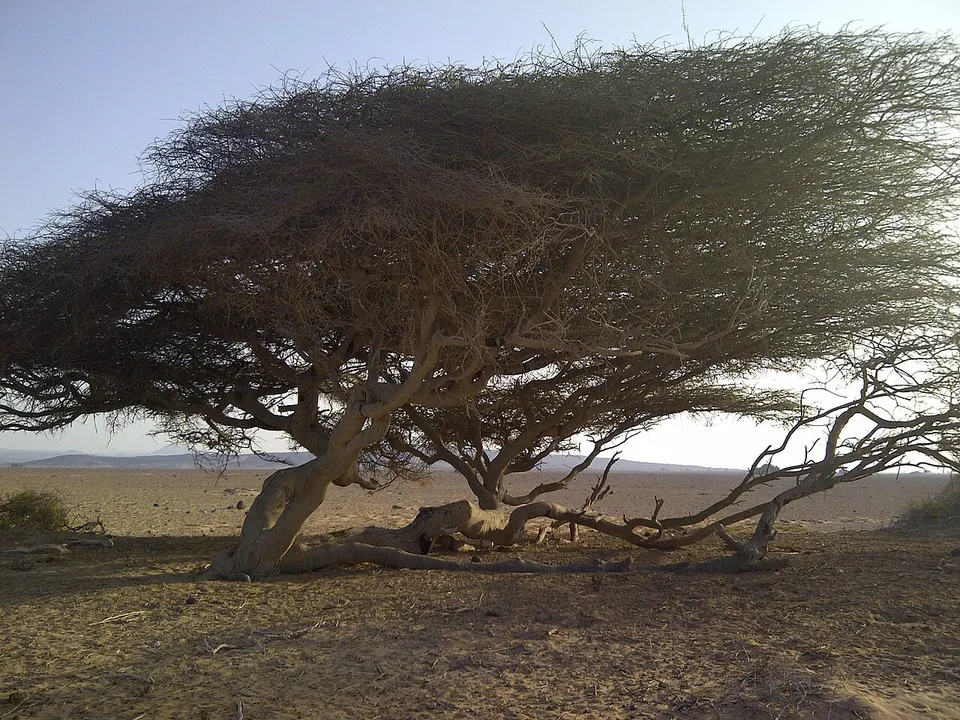 جيبوتي - panoramio — Obock, Djibouti