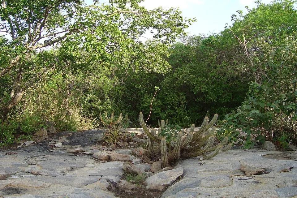 Em Taperoá Paraiba - panoramio — Paraiba, Brazil