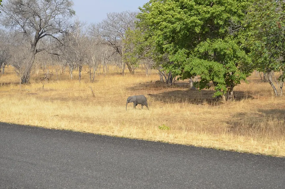 Caprivi, RTW 2012 (8361135226) — Caprivi, Namibia