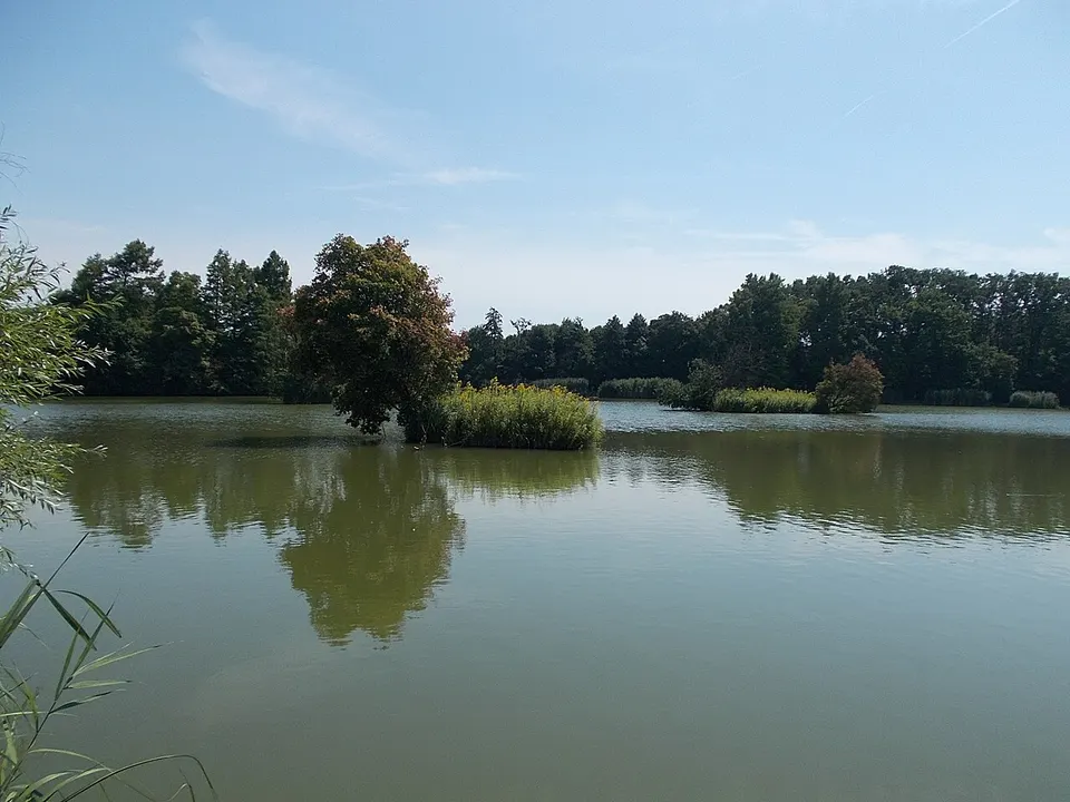 Boating Lake, south mid, 2020 Sárvár — Vas, Hungary