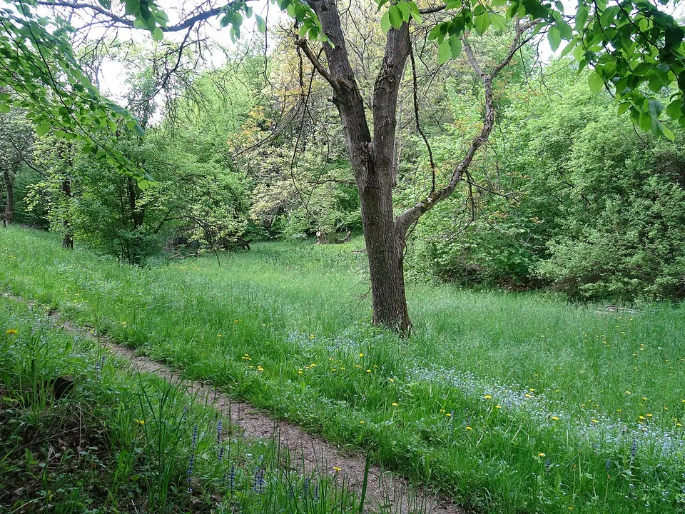 PP Na želechovických pasekách (2) — Zlínský kraj, Czechia