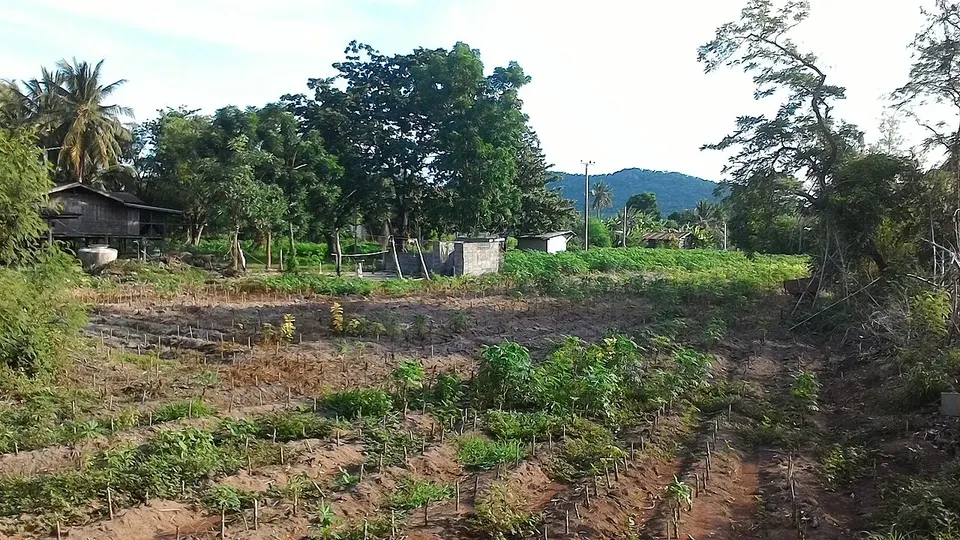 Nikhom Khao Bo Kaeo, Phayuha Khiri District, Nakhon Sawan, Thailand - panoramio (1) — Nakhon Sawan Province, Thailand
