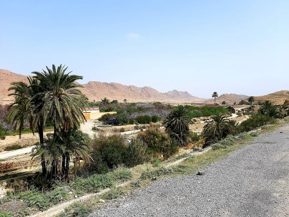 El Kantara Biskra Algeria — Biskra, Algeria