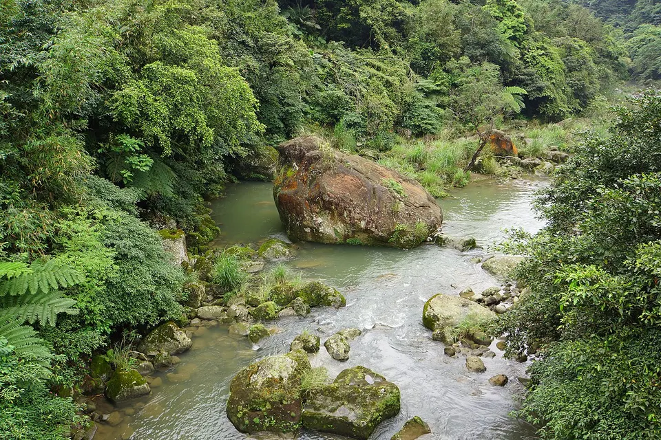 流螢谷 Firefly Valley - panoramio — New Taipei, Taiwan