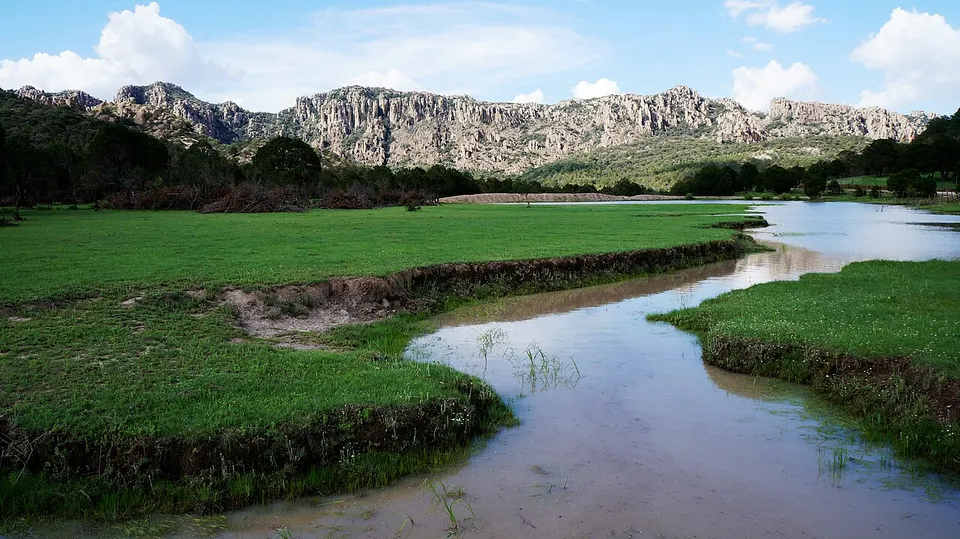 Arroyo en Sierra de Cardos — Zacatecas, Mexico