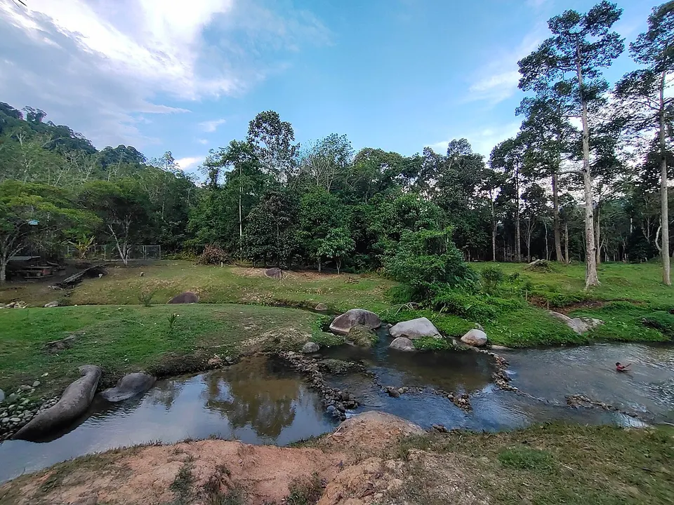 Woodland and stream — Negeri Sembilan, Malaysia