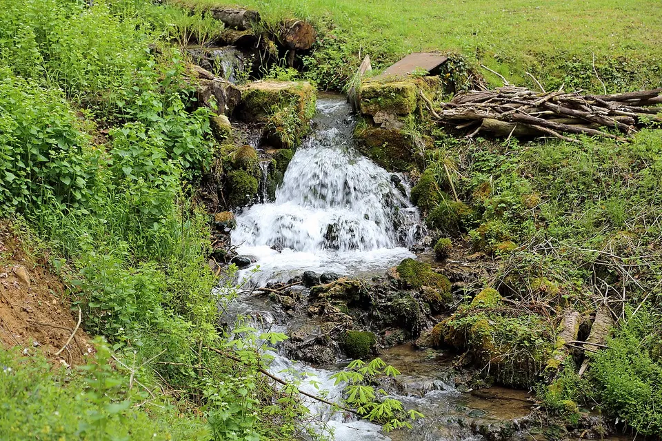 Stream flowing through woodland — Canton Echternach, Luxembourg