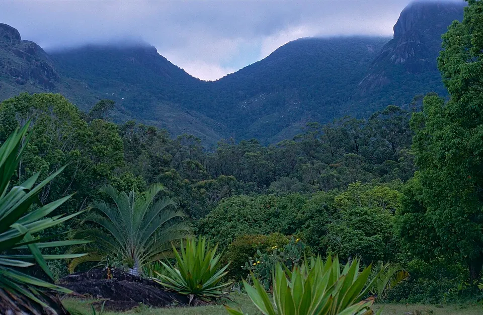 Pic Saint-Louis (9592460866) — Anosy, Madagascar