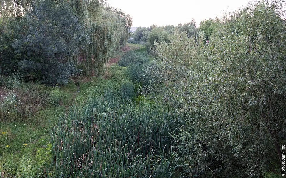 Raut River 2017 - 36371794265 — Balti, Moldova