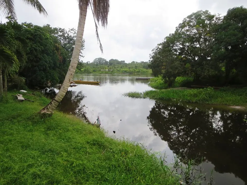 Backwater (14242949809) — Sipaliwini, Suriname