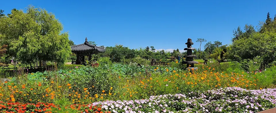 Flower-filled outdoor park — Daejeon, South Korea