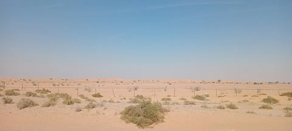 Dessert life — Umm al-Quwain, United Arab Emirates