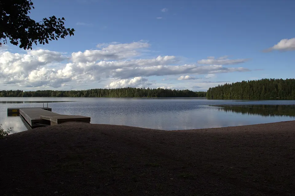 Forested lakeshore — Päijät-Häme, Finland