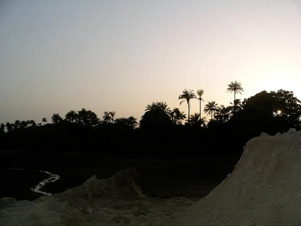Sunset (483015280) — Biombo, Guinea-Bissau