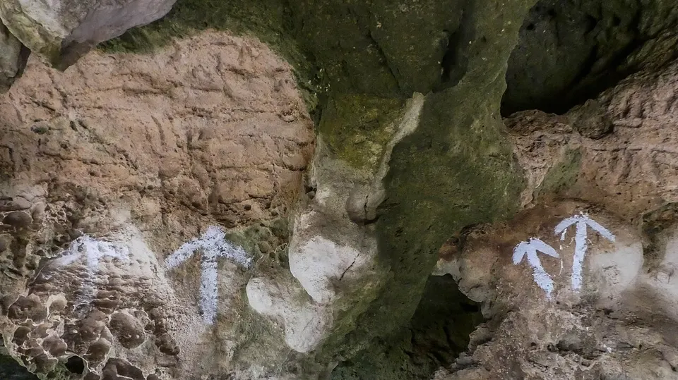 Petroglyphs (30393572753) — Curaçao, Curacao