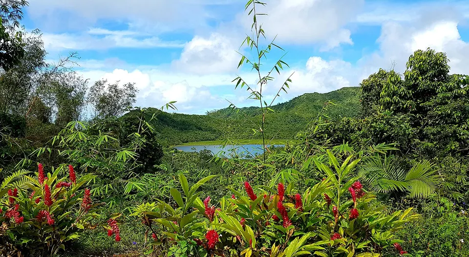 Mountain valley and tropical vegetation — Saint Andrew, Grenada
