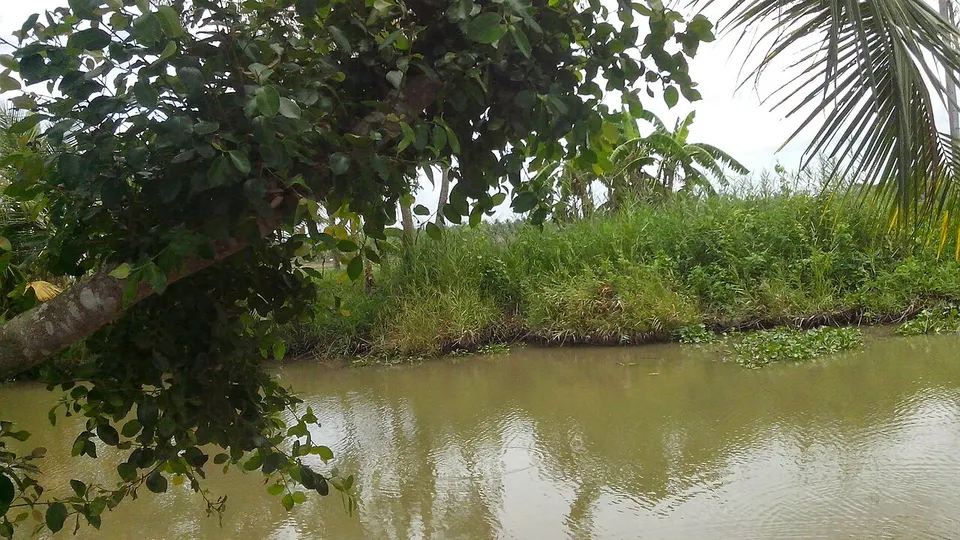 Kênh 3 - panoramio — Trà Vinh, Vietnam