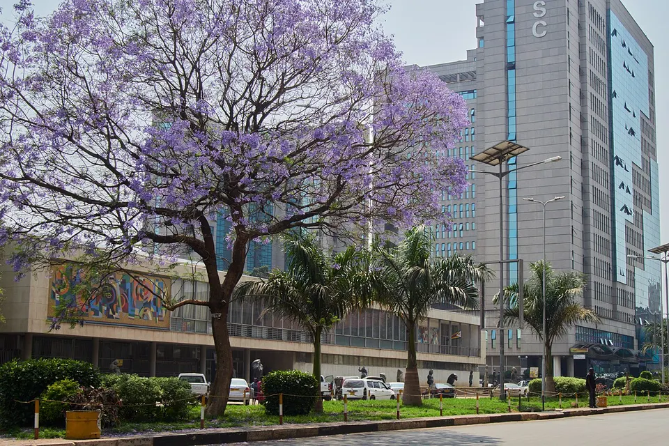 Harare - Harare3497 — Harare, Zimbabwe