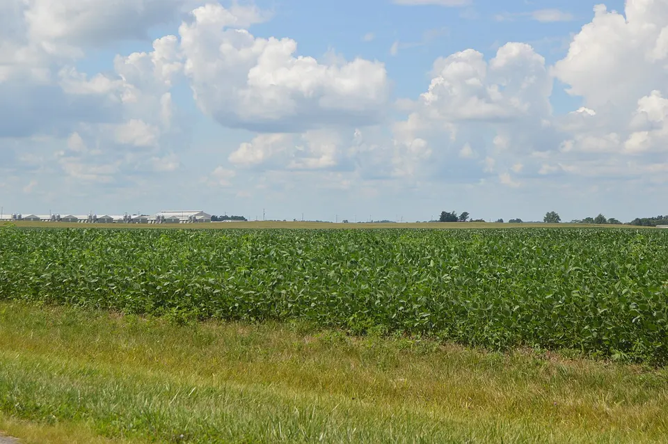Parsons east of Croton, south of Hartford — Ohio, United States