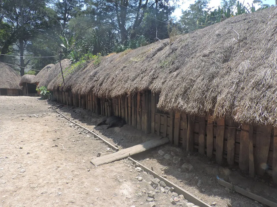 Dani people traditional house near Wamena, Papua, Indonesia 05 — Papua, Indonesia