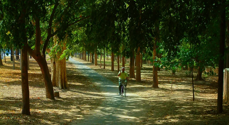 Tree-lined outdoor park — Chandīgarh, India