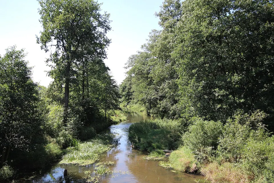 Słopiec Szlachecki - Belnianka river 01 — Świętokrzyskie Voivodeship, Poland