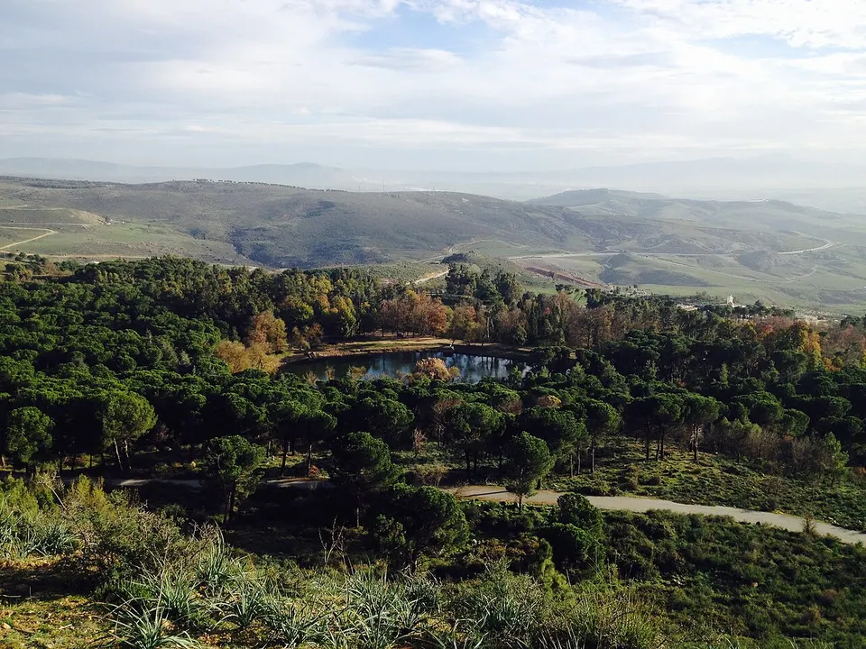 Wooded hills and countryside — Constantine, Algeria