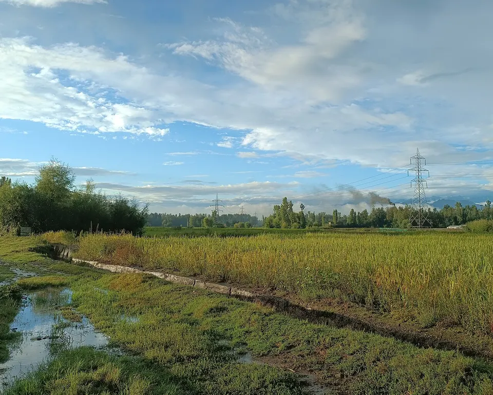 Fields and distant mountains — Jammu and Kashmīr, India