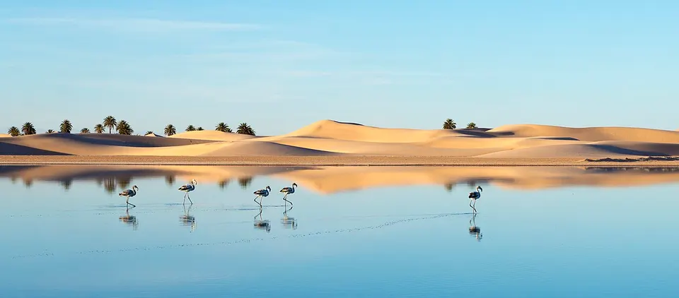 Lake Oume elraneb Ouargla — Ouargla, Algeria