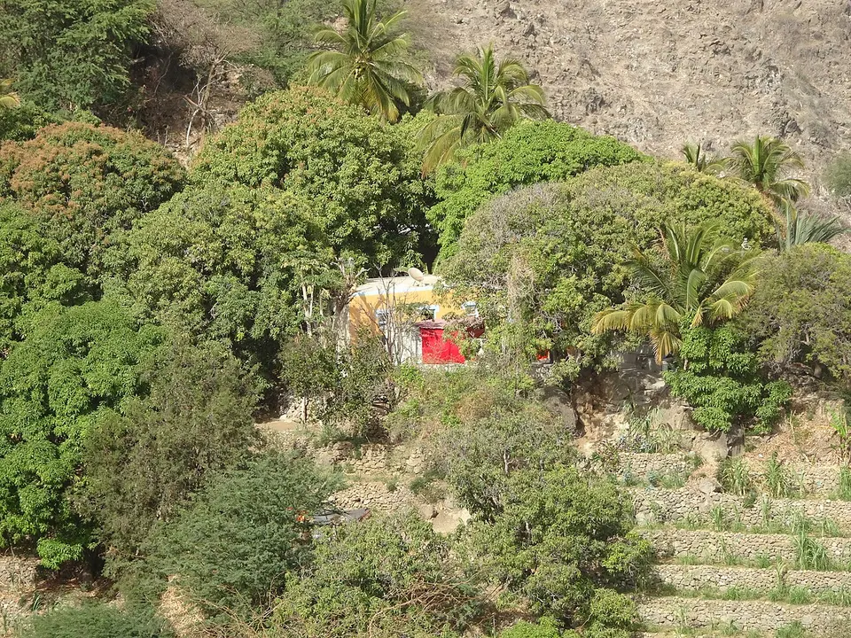 Wooded countryside and village houses — Brava, Cabo Verde