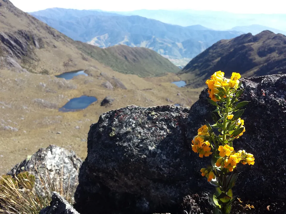 Flora y lagunas — Táchira, Venezuela