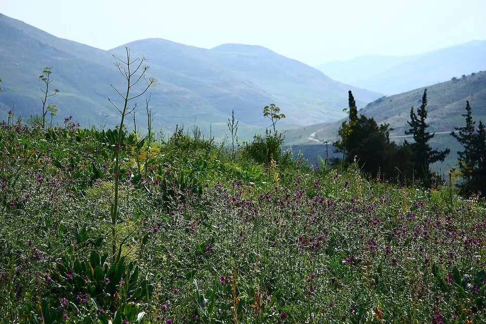 Ira ^ Yargha Sub-District, Jordan - panoramio (6) — Balqa, Jordan