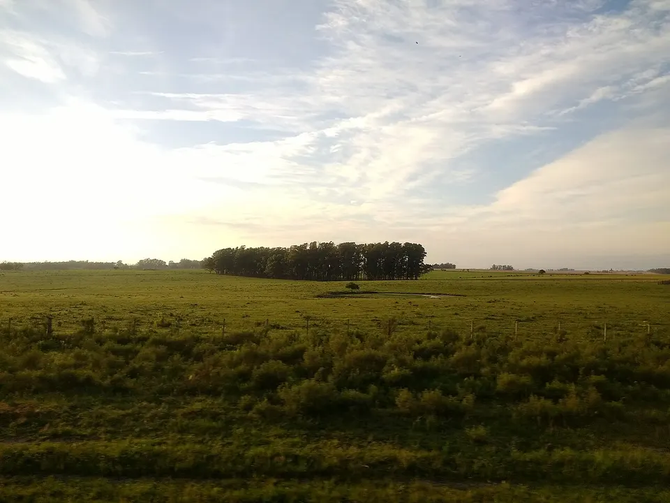 Paisaje del departamento de Flores — Flores, Uruguay
