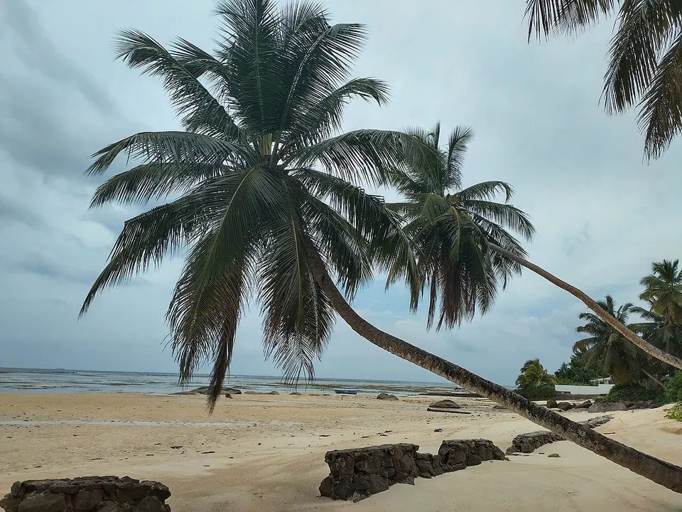 Typically view of Seychelles beach (islands of Mahe) — Au Cap, Seychelles