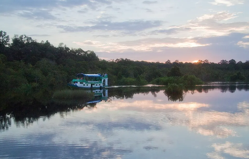 Tanjung Puting sunset cruise — Central Kalimantan, Indonesia