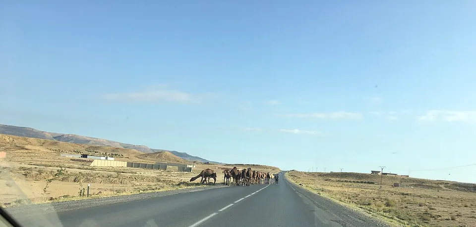 Route Nsigha et Baber — Khenchela, Algeria