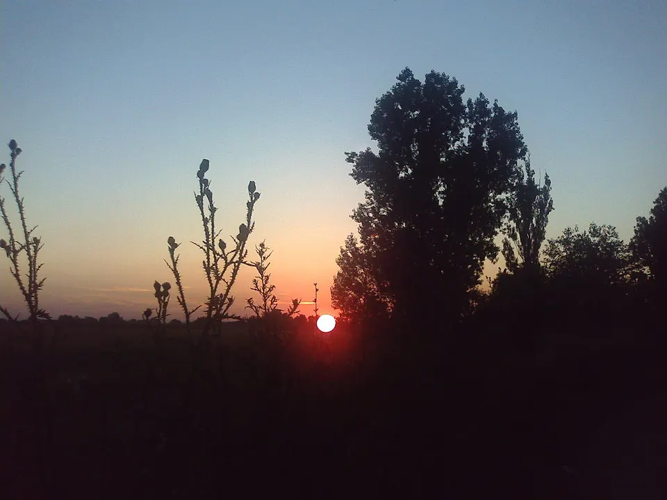 Trees and countryside at sunset — TIMIS, Romania