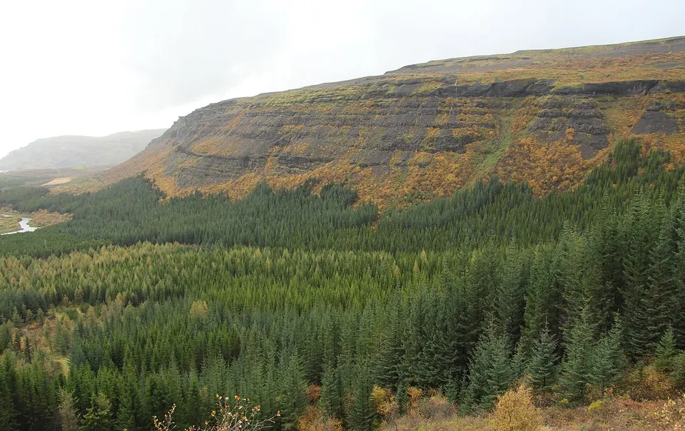 Thjorsardalur National Forest Iceland — Southern Region, Iceland