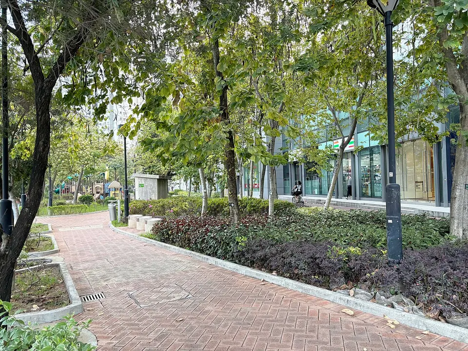 Tree-lined walking path — Tuen Mun, Hong Kong