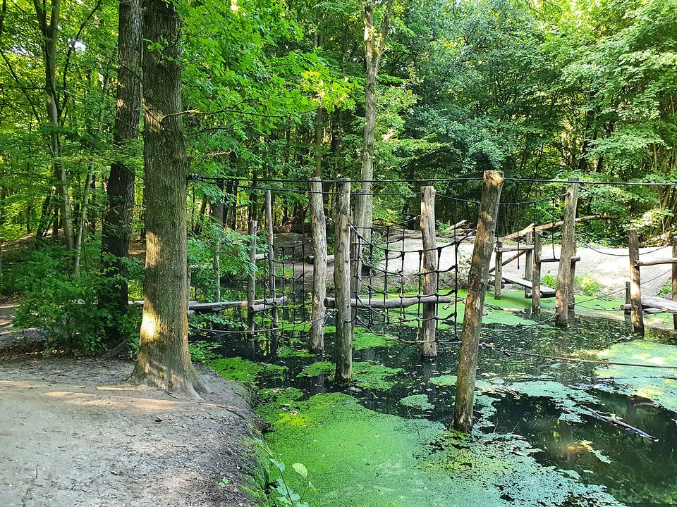 Woodland walking path — Flevoland, The Netherlands