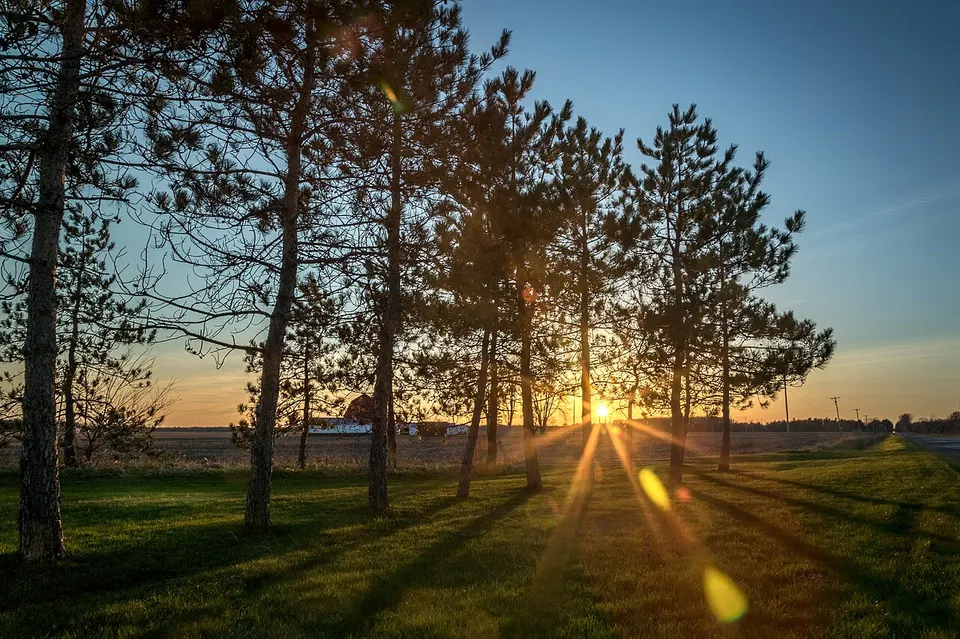 Roadside spring (34110056825) — Michigan, United States