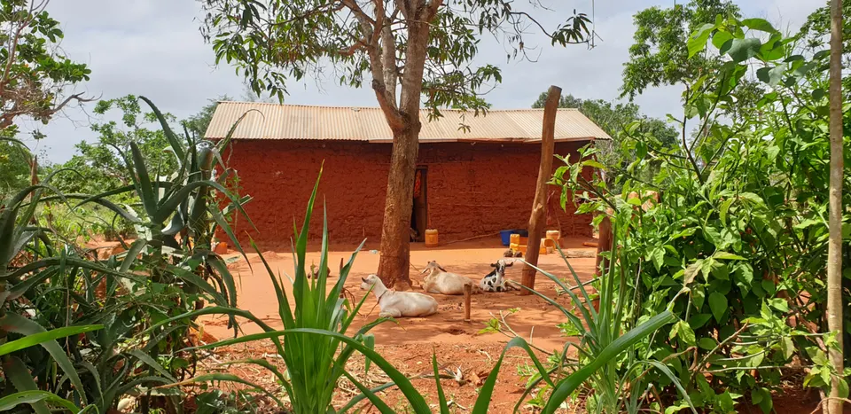 A glimpse into a Kilifi family homestead — Kilifi, Kenya
