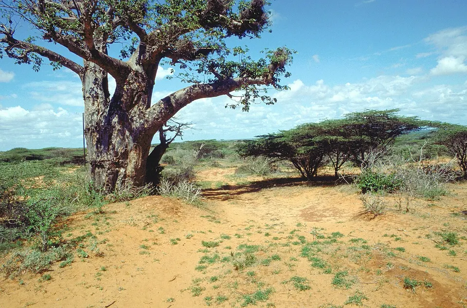 SomaliaNaheKismayo1993 — Lower Juba, Somalia
