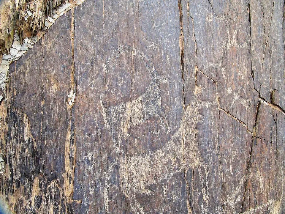 Del Uul mountain Petroglyph 15 — Dundgovi, Mongolia