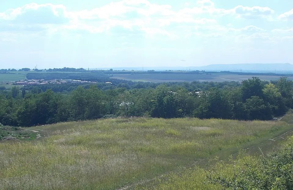 Landschaft S, 2022 Pécel — Pest, Hungary