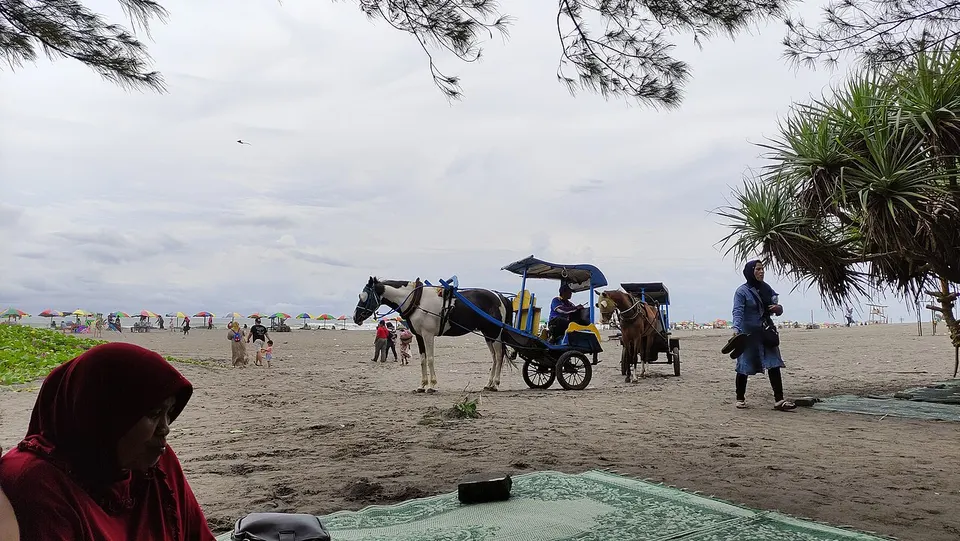 Andhong, a horse carriage on the coast of Parangtritis Beach (1) — Special Region of Yogyakarta, Indonesia