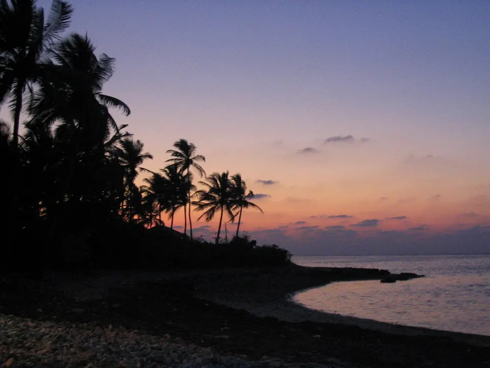 Coastal palms at sunset — Lakshadweep, India